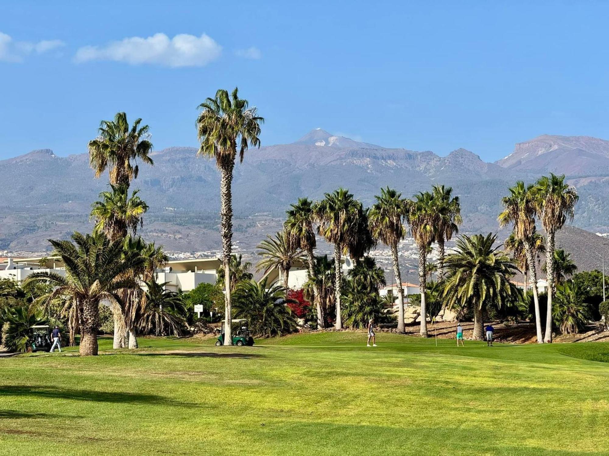 Parque Albatros 118 Lejlighed San Miguel de Abona Eksteriør billede